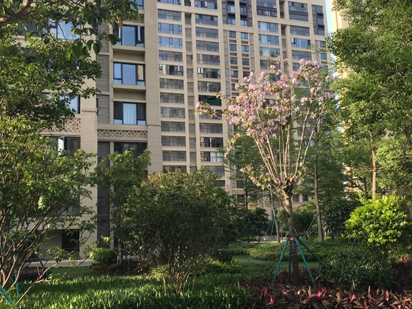 泉州晋江晋江吾悦广场宝龙世家(池店)池店山姆店对面宝龙世家精装三房