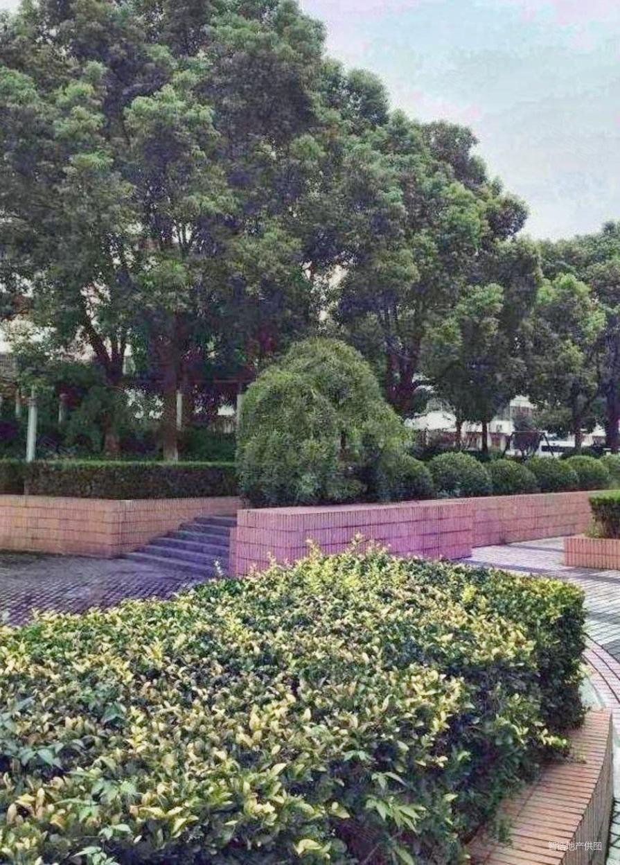 龙源星城2室1厅1卫30㎡南北63.03万