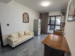 平阳鳌江鳌江商业城出租九合名邸一室一厅带投影仪，可押一付一出租房源真实图片