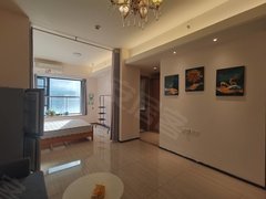 南阳宛城鸟巢新一高旁盆窑白河首府 恒大帝景精装一室拎包入住900元每月出租房源真实图片