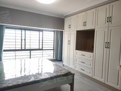 射阳射阳城西后羿公园苏农汇丰广场 1室 电梯房 精装修 46平出租房源真实图片