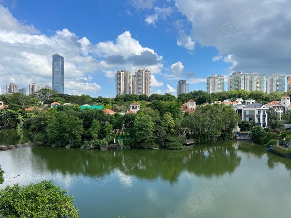 深圳南山华侨城波托菲诺纯水岸(一期别墅)纯水岸临湖别墅出租,正看湖