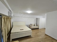 广州南沙金洲越秀国际公寓单层整租1房1厅，拎包入住出租房源真实图片