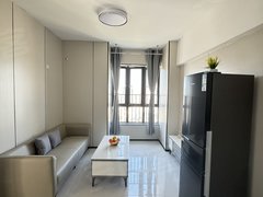 深圳龙岗坪地龙岗新村龙岗大道旁精装两房出租 拎包入住，停车位充足出租房源真实图片