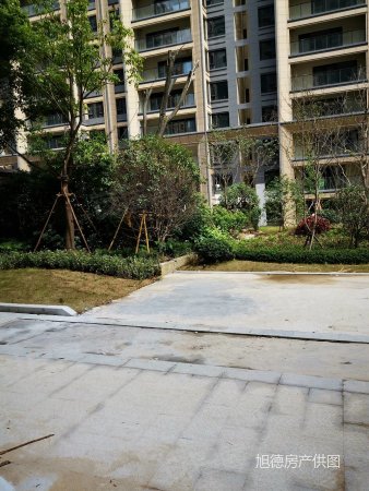 温州二手房 平阳二手房 鳌江二手房 中梁壹品