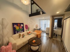 东莞莞城罗沙卓越中寰(商住楼) 2室1厅1卫  电梯房 精装修35平米出租房源真实图片