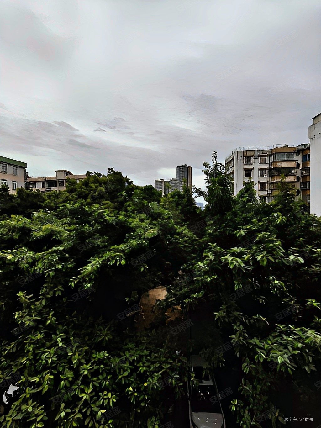 番禺大石好房推荐福泰园方便