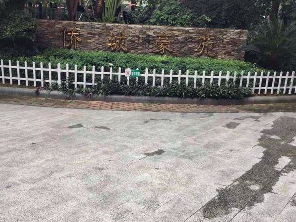 【多图】侨城豪苑(一期),华侨城租房,白石洲地铁站,侨城豪苑精装电梯2