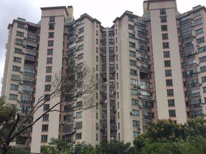 闵行区康城小区人口_闵行区红旗小区