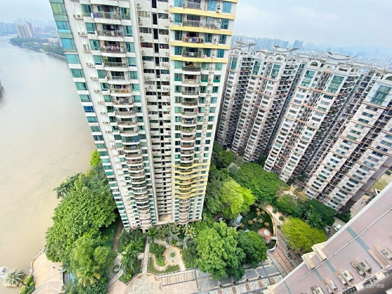 荔港南湾3室2厅1卫91.12㎡东南390万