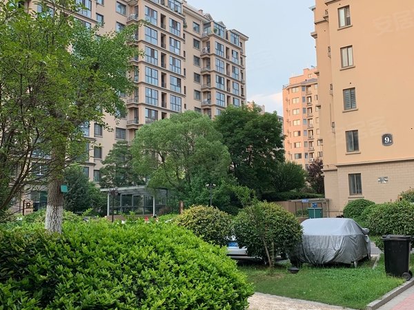 徐州睢宁睢宁城区欧洲城(西区)出租 欧洲城洋房大两室16000年  精装修