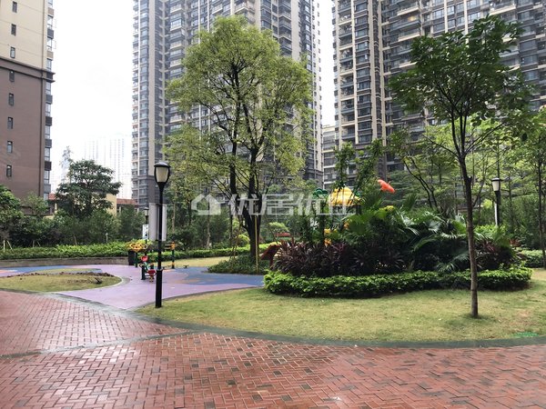 【多图】保利领秀前城领秀府,凤岭南租房,户型方正 南北通透 采光好