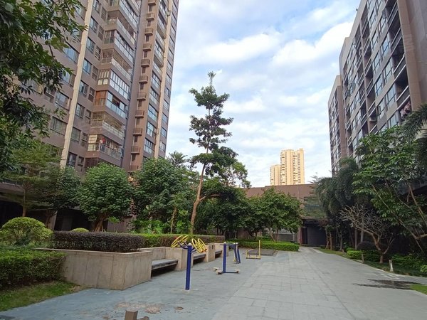 珠海高栏港区平沙时代港时代港 1室1厅1卫 精装修 电梯房 53平出租