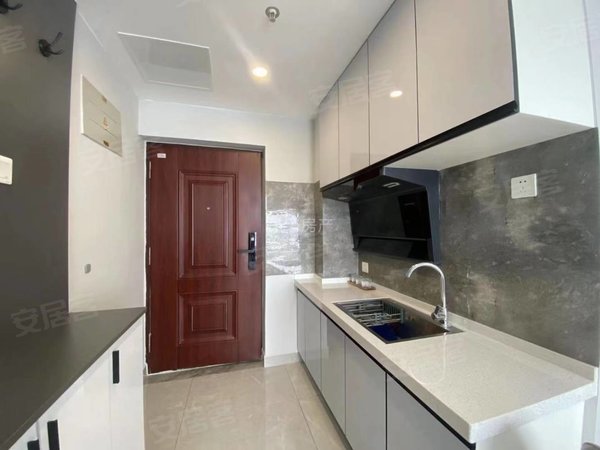 泰华对面摩尔国际轻奢公寓,酒店式管理配置齐全随时看出租房源真实