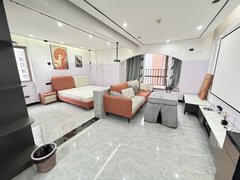 贵阳南明花果园花果园R区急租 财富广场现代风公寓一居室家电齐全靠地铁口出租房源真实图片