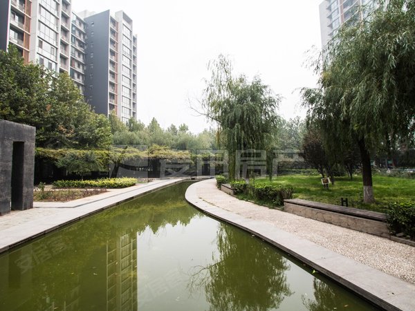 大望路租房,1室1厅 后现代城(c区),朝阳租房-北京58安居客