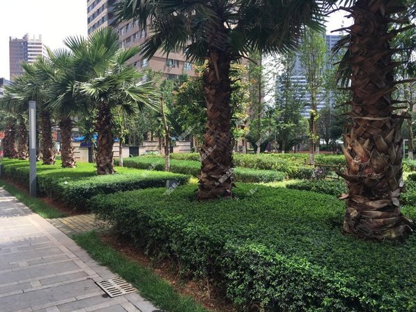 昆明盘龙滨江俊园葡萄街区天宇花园环城北路天宇花园带家具家电三房