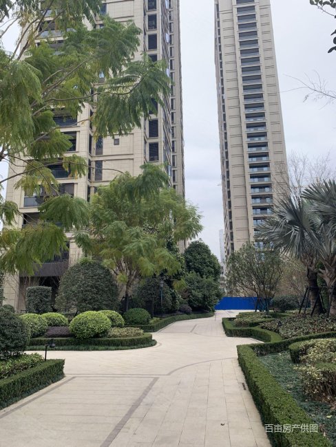 绿城杨柳郡近白沙桥4房2厅2卫底价出售真实