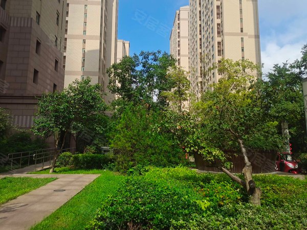 淄博张店理工大学金石绿城金石绿城 三室 拎包入住房源采光好,南北通透,业主诚意出出租房源真实图片