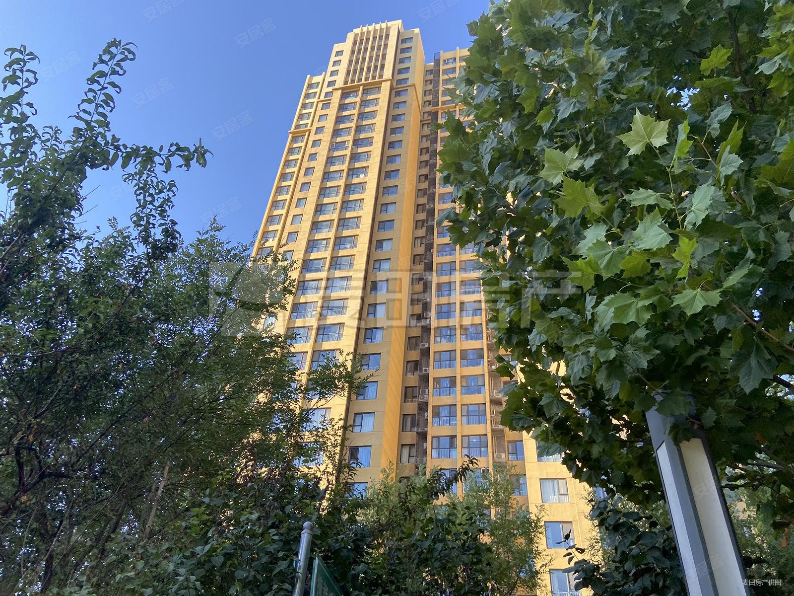 超 高 全南向 高层 视野绝好 直观海淀 稳定,融泽嘉园西6号院二手房