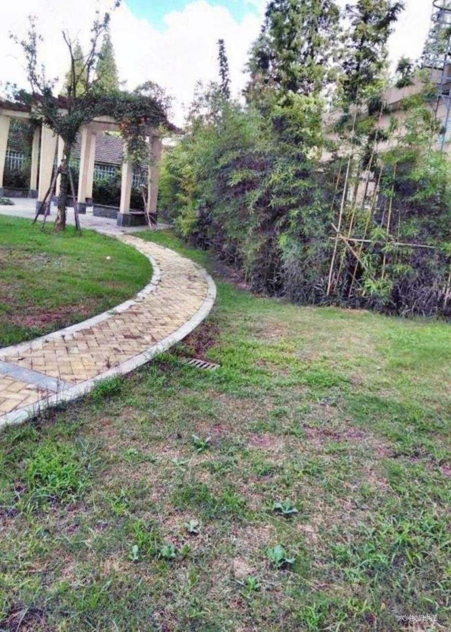 新上彩虹湾蔷薇里19号线地铁口精装拎包住一降再降
