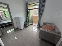 深圳龙岗龙岗中心城龙园地铁口 独栋电梯精装一房一厅 厨卫分离 独立阳台民水民电出租房源真实图片