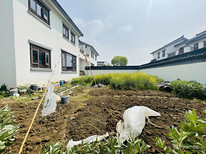 随时看房苏园售大双拼600平超大南花园纯毛坯急售