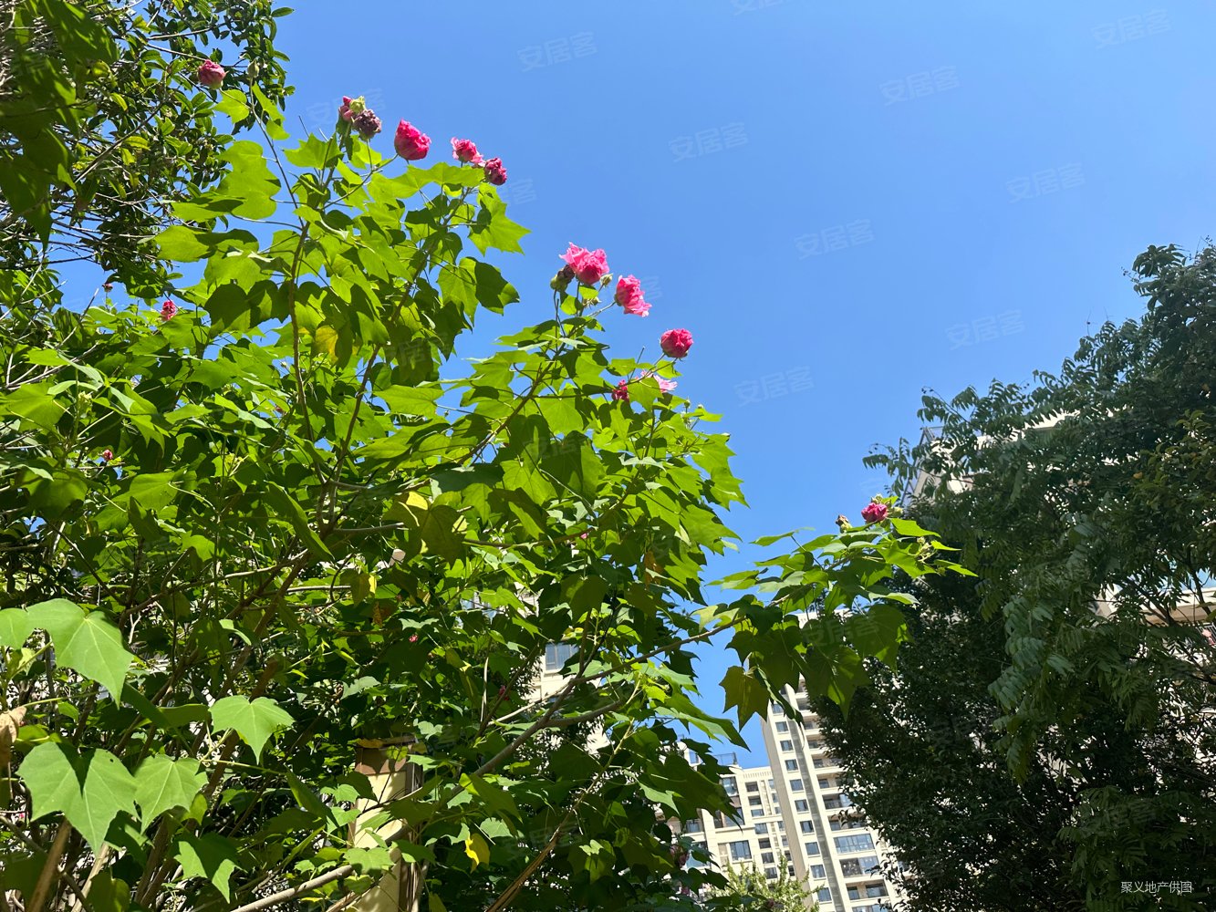 中海左岸馥园4室2厅2卫128㎡东南120万