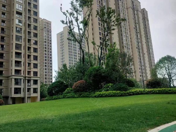 南昌象湖象湖新城新力象湖湾出门地铁四号线,新洪城大市场,象湖滨江