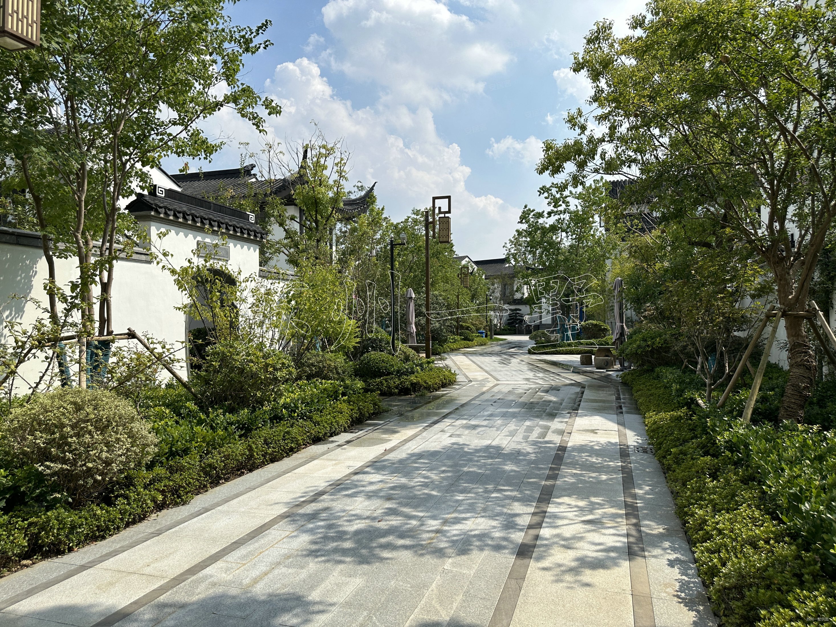 虎丘景区旁次新知丘别墅好位置联排边户大花园大开间