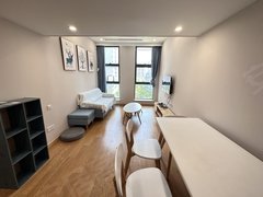 彭埠地铁口 三花国际 边套一室一厅 厅卧分离舒适户型loft