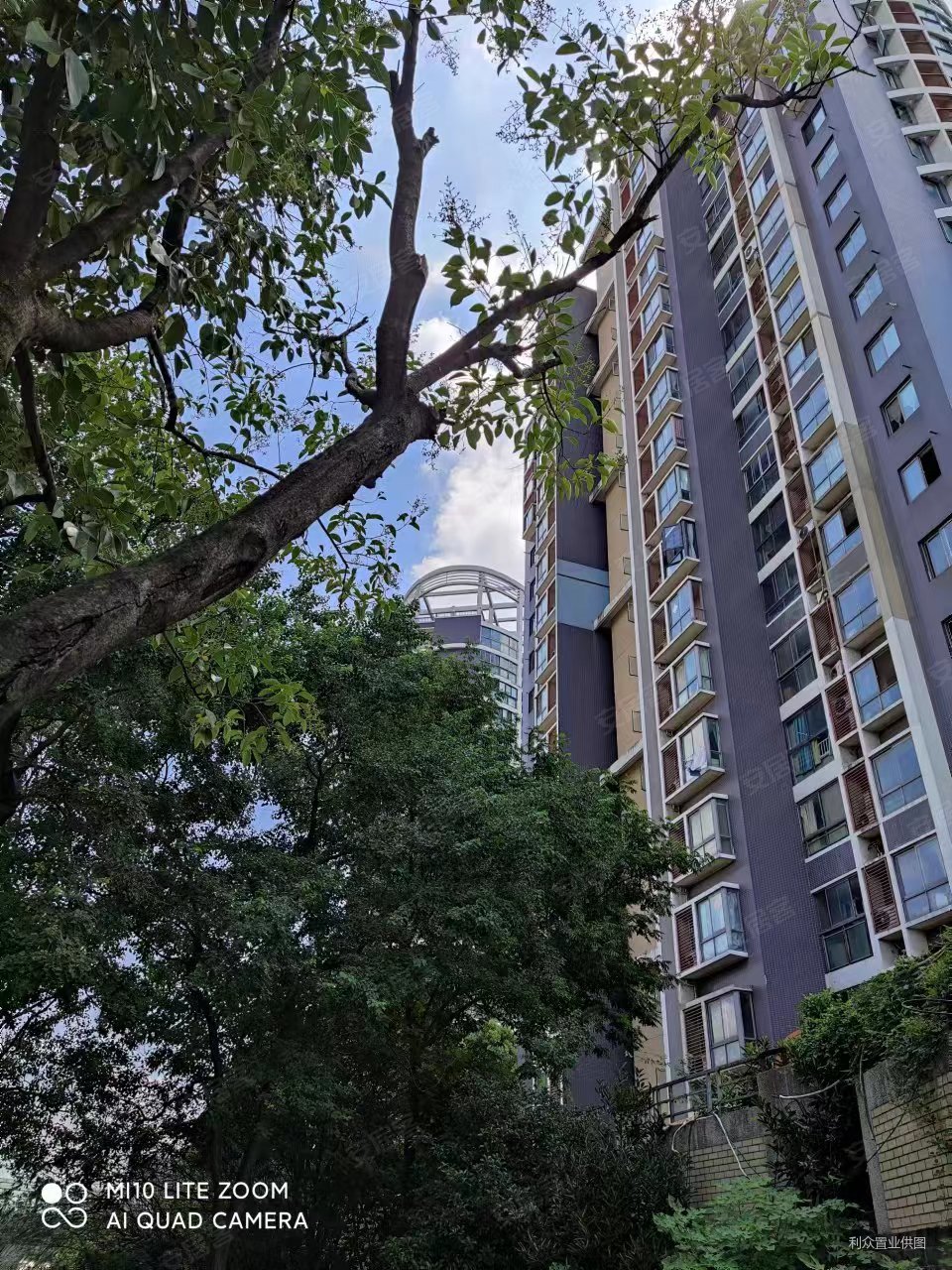 仙林学则路低总价两房的看过来亚东城西区中上楼层随时看