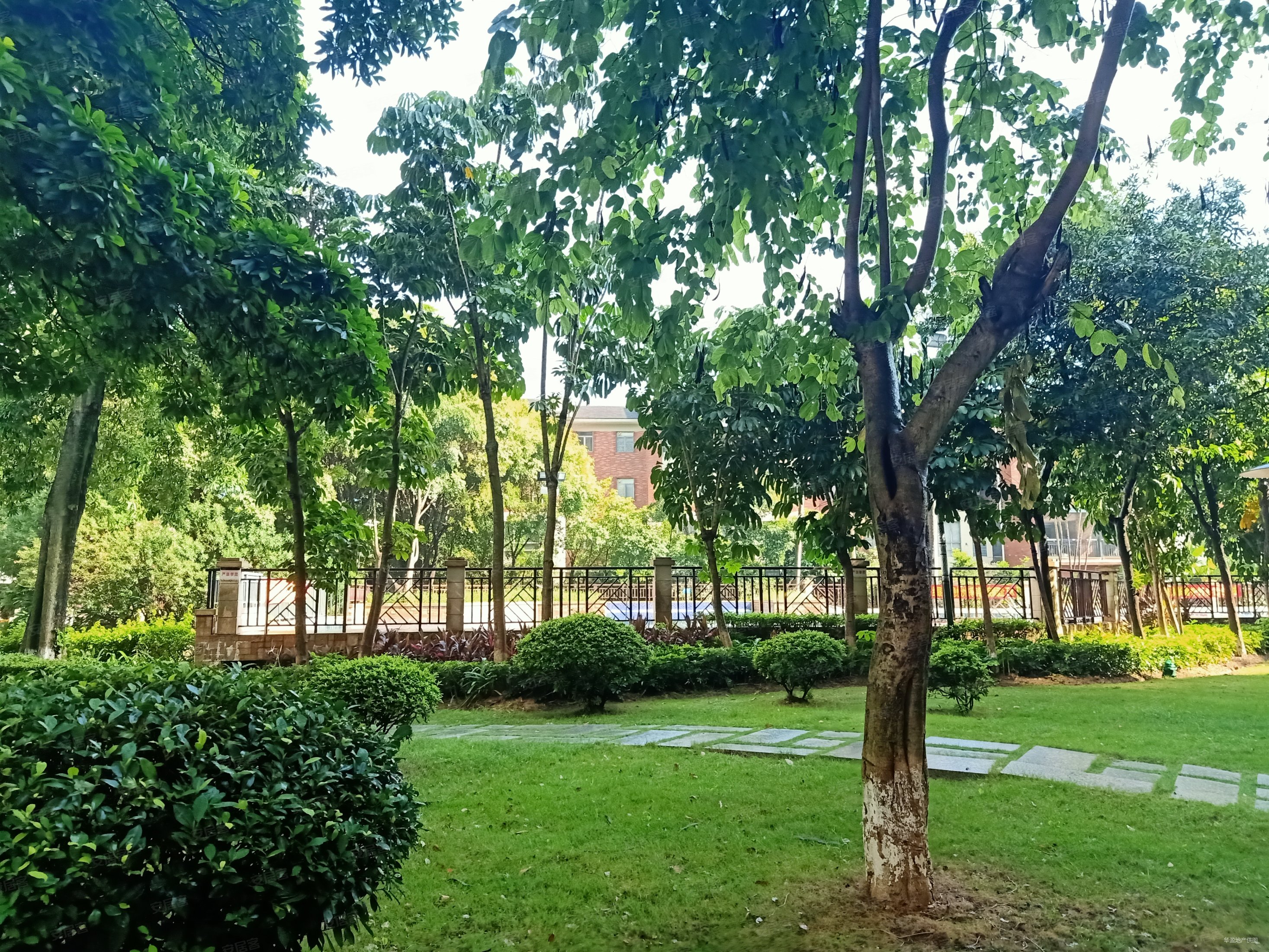 丰泰东海山庄 正规商品房 南北通透 中间楼层 精装修