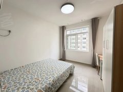 合肥蜀山西客站电商产业园 顺丰丰泰 四季花海 振兴路地铁口 拎包入住出租房源真实图片