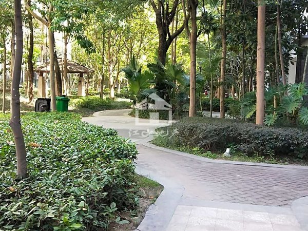 南宁兴宁东沟岭金源橘子郡金源橘子郡一期橙色地带地铁口出租房源真实