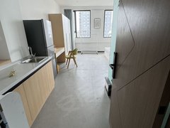 合肥庐阳双岗新天地 双岗 白水坝 近步行街 杏花公园 逍遥津公园精装一室出租房源真实图片