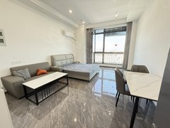 常熟东南开发区东南开发区中心永旺附近精装修一室一厨一卫 房子干净温馨 环境好 免费停车出租房源真实图片