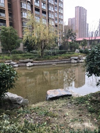 合肥二手房 长丰二手房 北城世纪城二手房 北城世纪城康徽苑  /01:15
