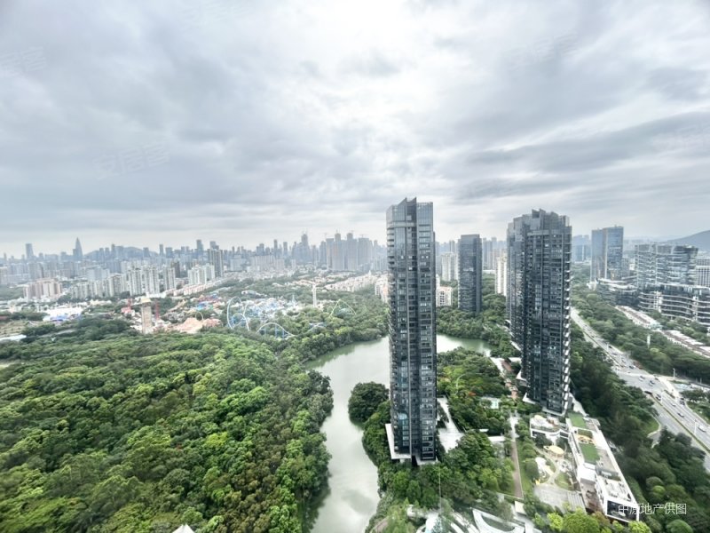 天鹅湖花园三期高楼层看湖景观好