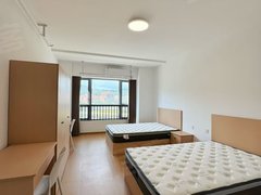 泉州洛江双阳街道阳光一居 可短租 押一付一 配套设施齐全 采光通风好停车方便出租房源真实图片