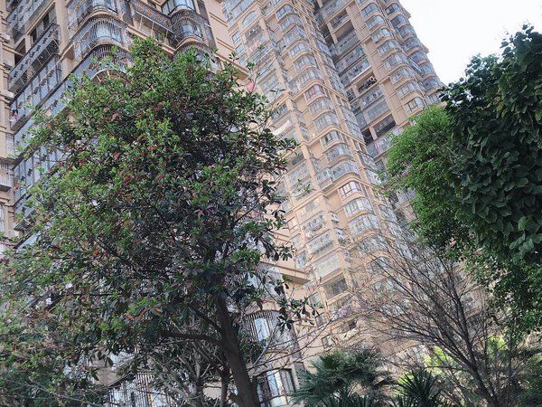 福州连江县城格林威治房源采光好,南北通透,业主诚意出出租房源真实