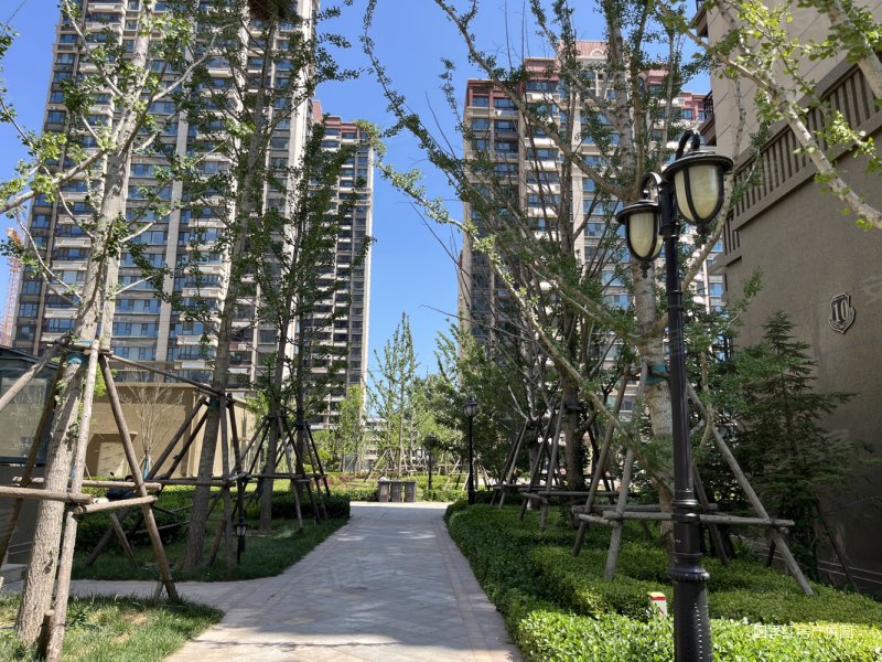 新都中小 恒大悦澜庭 新小区 精装修南向客厅 双卫