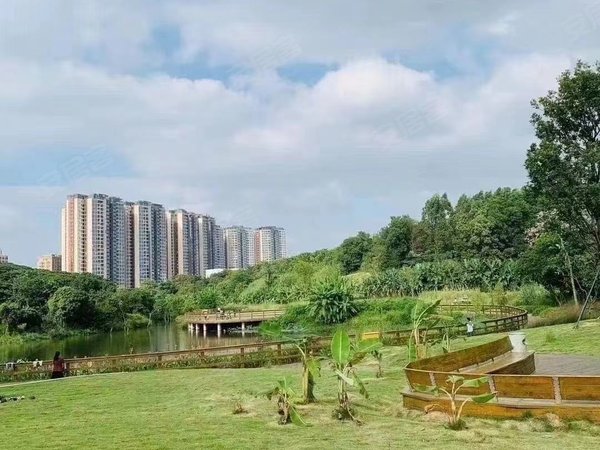 深圳龙华观澜大水坑二村急租!