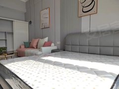 合肥政务奥体中心政务区 天鹅湖 万象城 合柴旁 恒大水晶广场精装一室押一付一出租房源真实图片