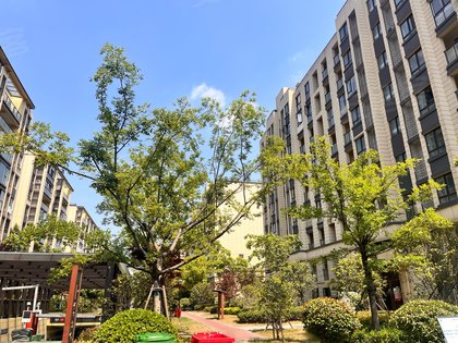 皖新翡翠庄园,清流中路,近南京路 - 滁州皖新翡翠庄园二手房,租房