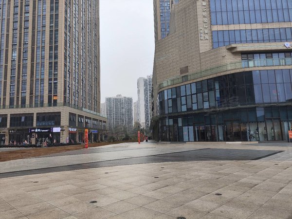 重庆渝北空港桥达茂宸广场(商住楼)桥达茂宸广场跃层一室一厅一卫 精