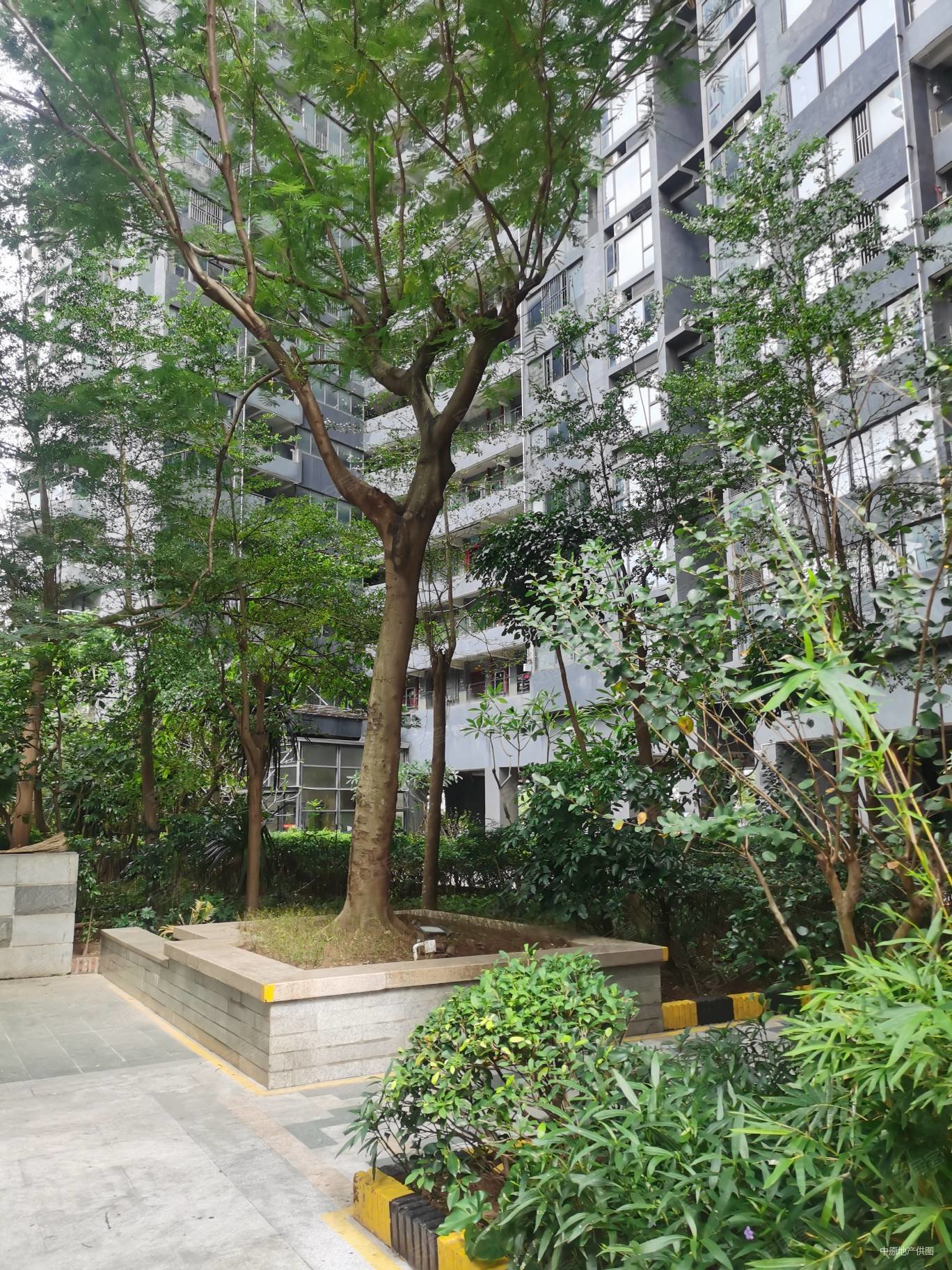 带超大平台金地物业管理小区大平层总价便宜