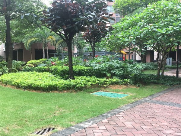 广州花都狮岭狮城国际狮城国际(守次出租)南北对流双阳台 东西齐全