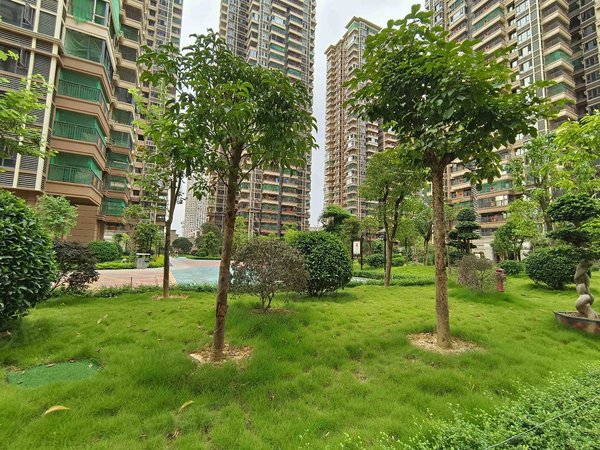 南宁西乡塘安吉冠利幸福苑靓房,冠利幸福苑,大面积,三房两厅两卫两