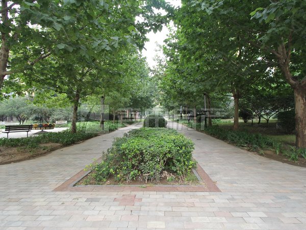 【多图】慧谷阳光,望京租房,近地铁望京东站,板楼四居,房子很干净!